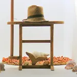 Casa Do Cais Farm stay Monte (Azores)