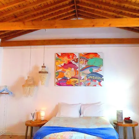 Casa Do Cais Gospodarstwo agroturystyczne Monte (Azores)