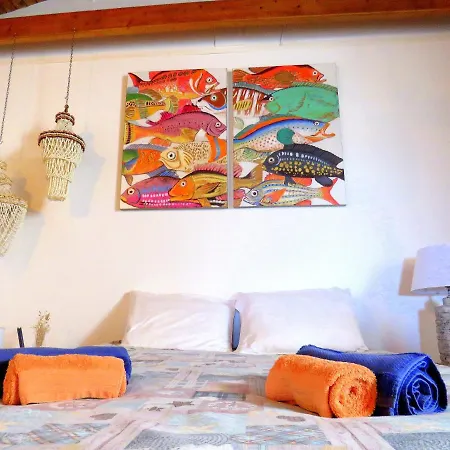 Farm stay Casa Do Cais