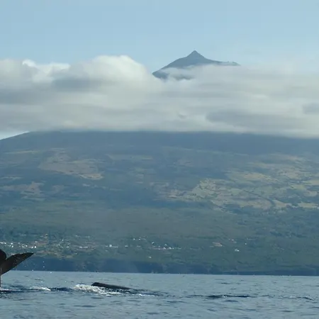 Casa Do Cais Farm stay Monte (Azores)