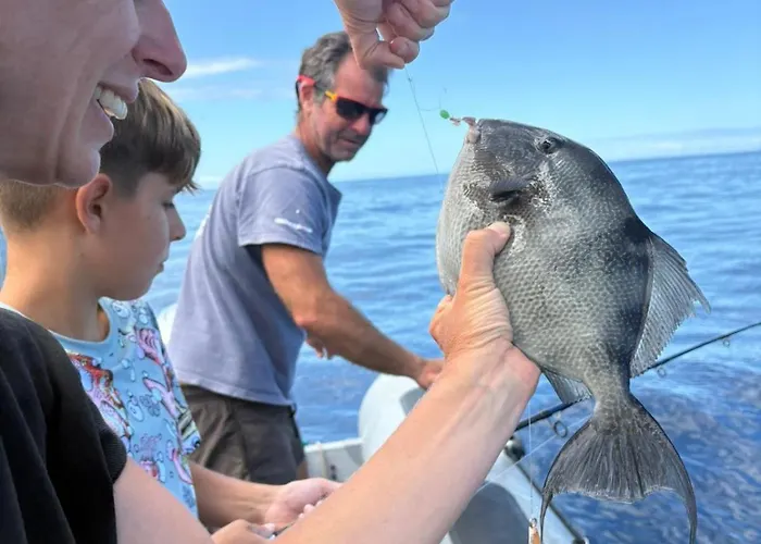 Casa Do Cais Lantgård Monte (Azores)