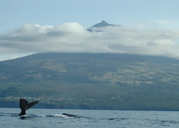 Casa Do Cais Bauernhof Monte (Azores)